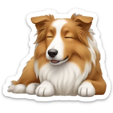 sleeping shetland sheepdog sticker