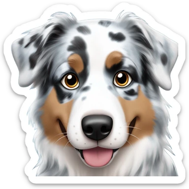 Australian shepherd blue Merle sticker