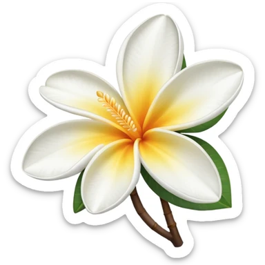 frangipani flower white sticker