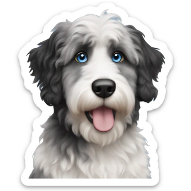 White, black, and grey aussiedoodle dog with blue eyes and black fur around the eyes sticker