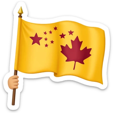 Chinar flag it has 80,000 stars and a hand sticker