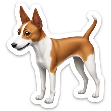 Basenji dog sticker