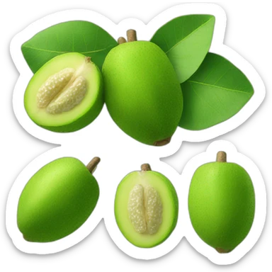Feijoa sticker