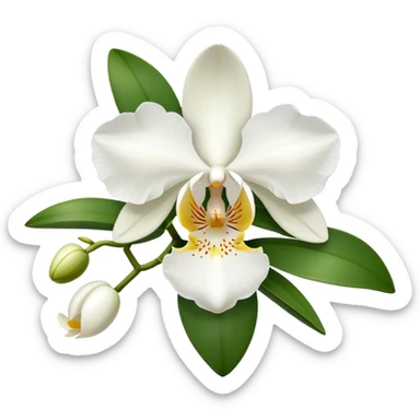 orchid with white flowers sticker