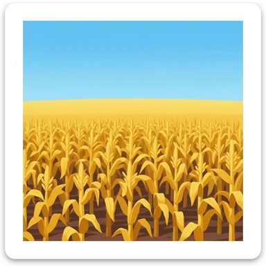Corn field sticker