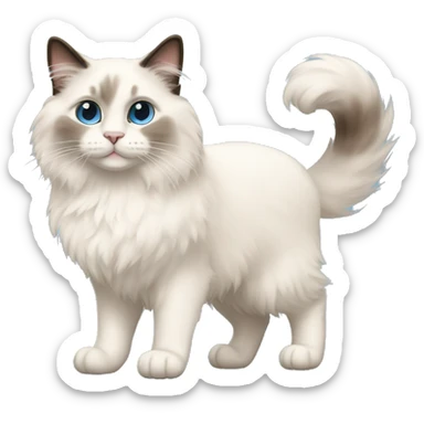 ragdoll cat PROUD WALK sticker