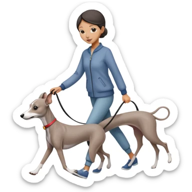 Beautiful Asian girl with cute features walking an all grey Italian greyhound with no white nose sticker