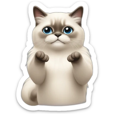Birman cat crossing fingers sticker