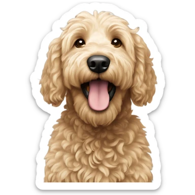 Goldendoodle  sticker