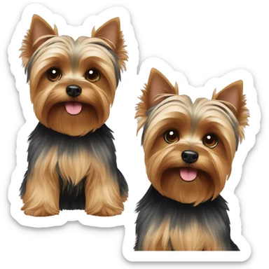 two brothers of Yorkshire terriers sticker