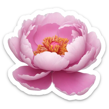 Peony sticker