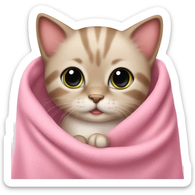 Cute kitten in pink blanket sticker