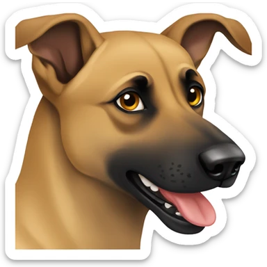 malinois peur  sticker