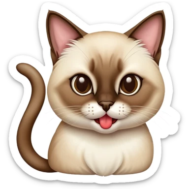 gato siamés con la lengua afuera  sticker
