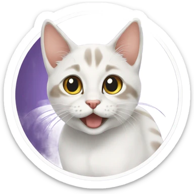 🐱 قطة  sticker