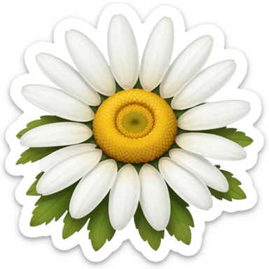 Chamomile sticker