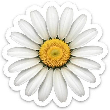 white daisy flower sticker