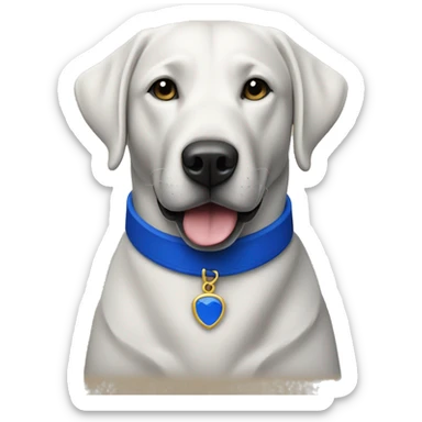 black lab with royal blue collar sticker