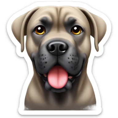 A Cane Corso in love. sticker