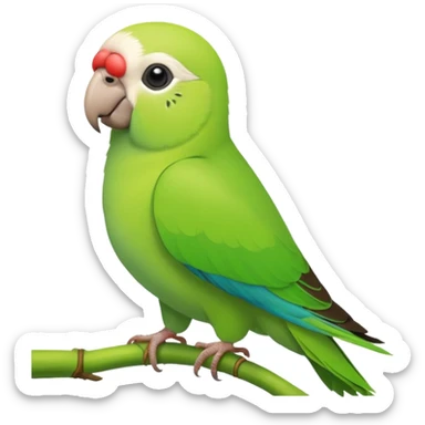 Green Monk parakeet sticker