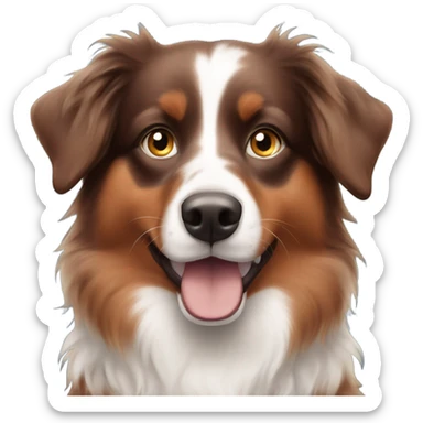 Red Australian shepherd with blue eyes  sticker
