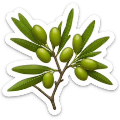 one olive branch with two buds and few leaves sticker