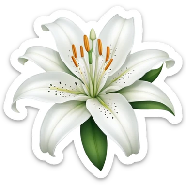 elegant white lily flower with six petals sticker