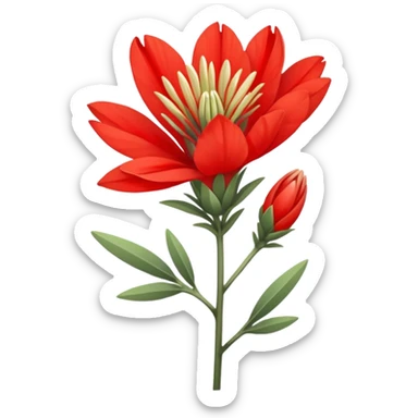 Indian paint brush flower sticker