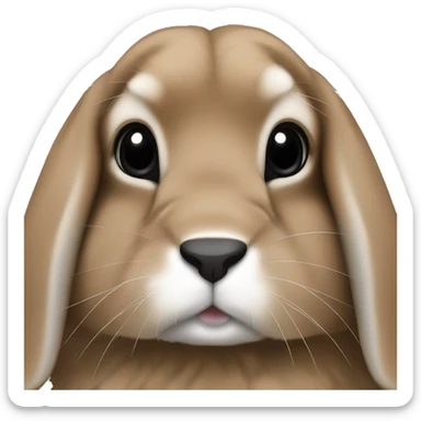 brown holland lop bunny with black nose and snout  sticker