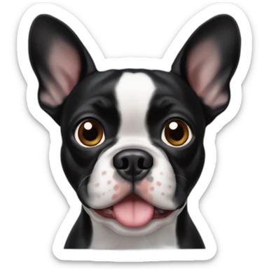 Black Frenchie Boston terrier mix sticker