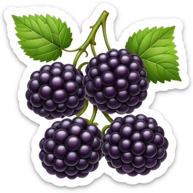 blackberries sticker