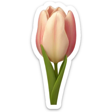 Tulipan sticker