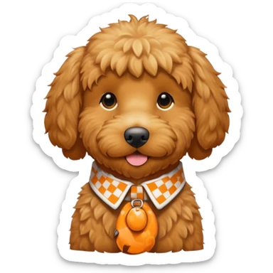 Golden doodle with Oran’s and white check collar with the name Buddy sticker
