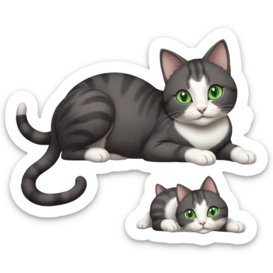 beautiful female solid dark grey cat with green eyes, white toes/paws and white patch on her chest playfully rolling upside down sticker