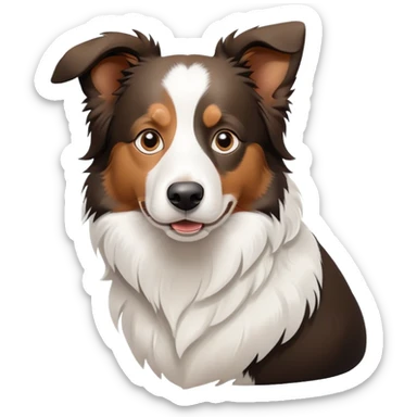 Border collie dog with only one black ear sticker