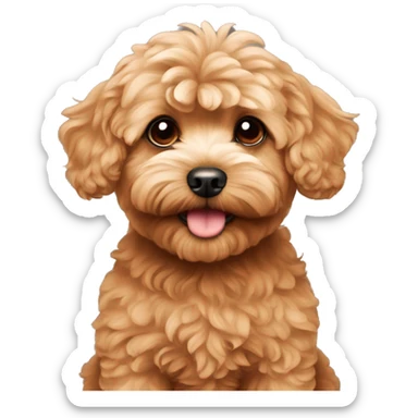 red maltipoo, head only  sticker