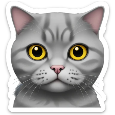 gray scottish fold cat with yellow eyes wearing a pink collar sticker