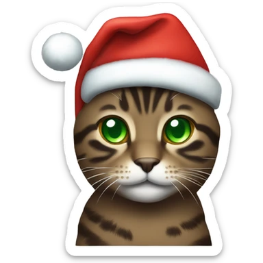 Dark brown tabby cat with green eyes wearing Christmas hat sticker