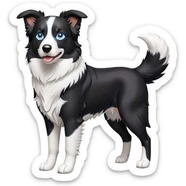 Cinematic Noble Border Collie Portrait Emoji, Poised and regal, with a lean, athletic build and a sleek, well-groomed black and white coat, piercing blue eyes, Simplified yet sharp and sophisticated features, highly detailed, glowing with a soft, dignified glow, high shine, intelligent and agile, stylized with an air of precision, focused and attentive, soft glowing outline, capturing the essence of a watchful and determined herder, so majestic it feels as though it could sprint out of the screen with effortless authority! sticker