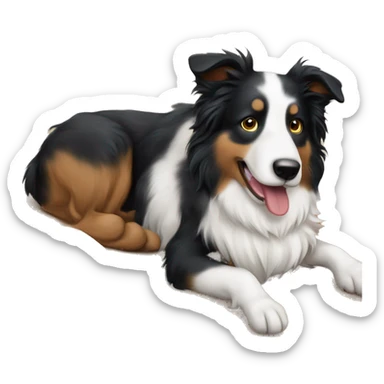 un perro de raza Border Collie, cafe y b sticker