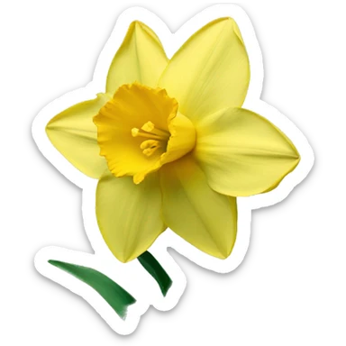 daffodil sticker