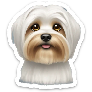 White sitzu half yorki sticker
