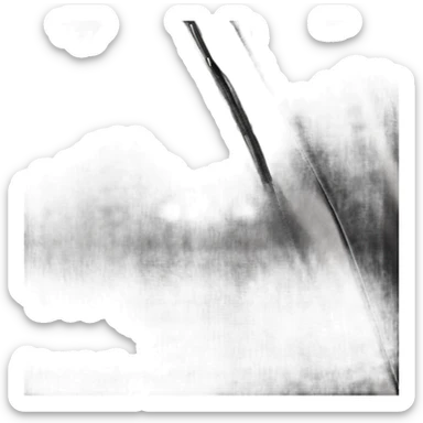 Black ponyhair jacket  sticker