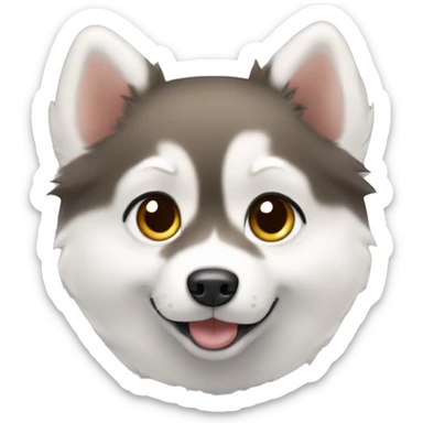 pomsky puppy whie with brown ears and eyes sticker