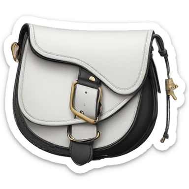 dior saddle bag sticker