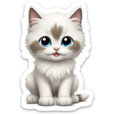 Ragdoll kitten  sticker