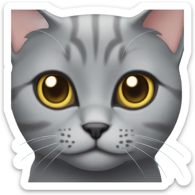 Grey british Short Hair cat  sticker