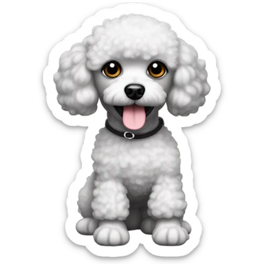 black head and body white, little toy poodle sticker