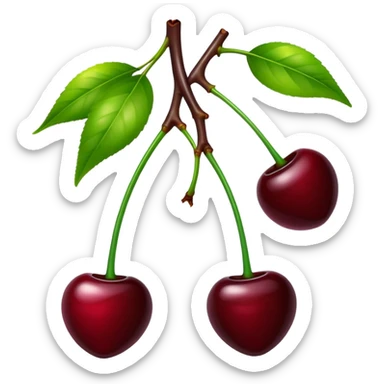 Pair of dark burgundy cherries with green stem, deep rich red color sticker