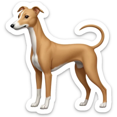 Greyhound sticker